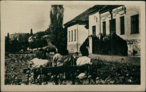 Naslov Slana banja kod Tuzle [Grafika] Vrsta građe razglednica Jezik hrvatski Godina 196? Izdavanje i proizvodnja Zagreb : RVJ Foto, 196? Fizički opis 1 razglednica : crno-bijela ; 9 x 14 cm Napomene Naslov preuzet sa reverzne strane razglednice Predmetne odrednice Tuzla – Slana banja – Šetalište – Razglednice UDK 77.033(497.6Tuzla) COBISS.BH-ID 54358534 Signatura – lokacija, inventarski br. Zavičajna zbirka 77 SLANA IN: 2000013